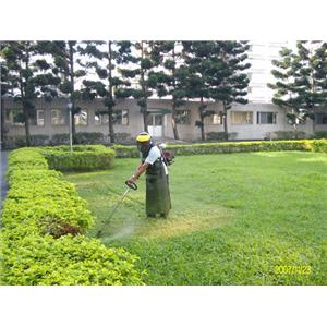 園藝花卉修剪、割草