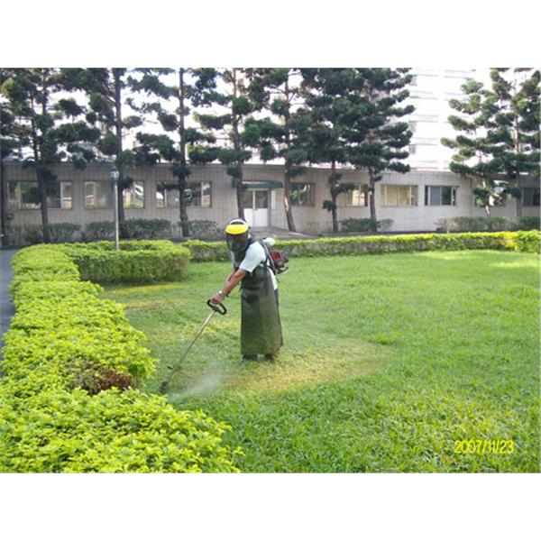 園藝花卉修剪、割草,麗潔清潔有限公司