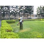 園藝花卉修剪、割草 - 麗潔清潔有限公司