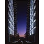 遠雄建設-東京總部 - 欣昭實業股份有限公司