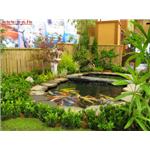 魚池景觀造景 - 吉集園藝