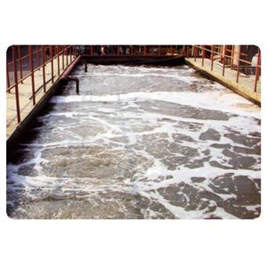 汚水池除臭系統 , 環保博士國際集團