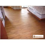 案場04 - 廣龍精品地板有限公司