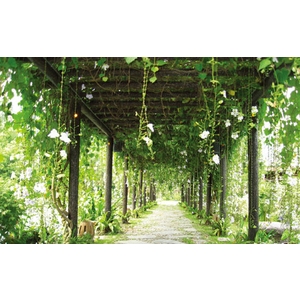 仿木花架R-3 , 三榮建材工業股份有限公司