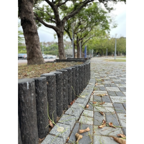 仿櫟木五連椿及單椿樹穴及花台工程-三榮建材工業股份有限公司