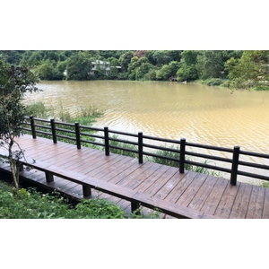 平台、棧道、欄杆