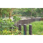 單樁 - 三榮建材工業股份有限公司