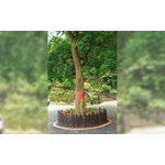 單樁 - 三榮建材工業股份有限公司