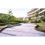 單樁、五連樁 - 三榮建材工業股份有限公司