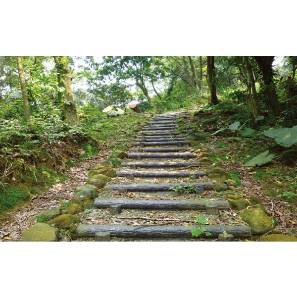 仿木階梯,三榮建材工業股份有限公司