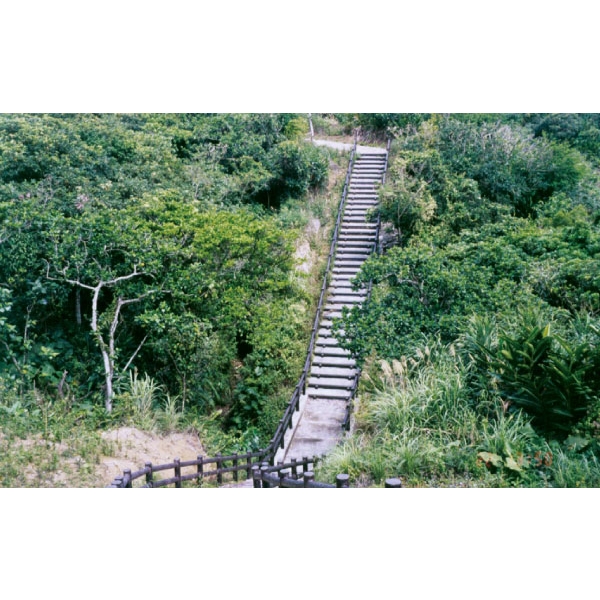 仿木階梯、仿木欄杆,三榮建材工業股份有限公司