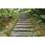 階梯 - 三榮建材工業股份有限公司