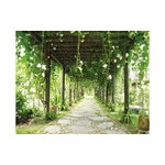 特定花架 - 三榮建材工業股份有限公司