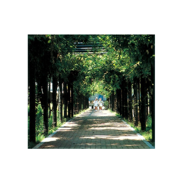 特訂花架 特訂花架,三榮建材工業股份有限公司