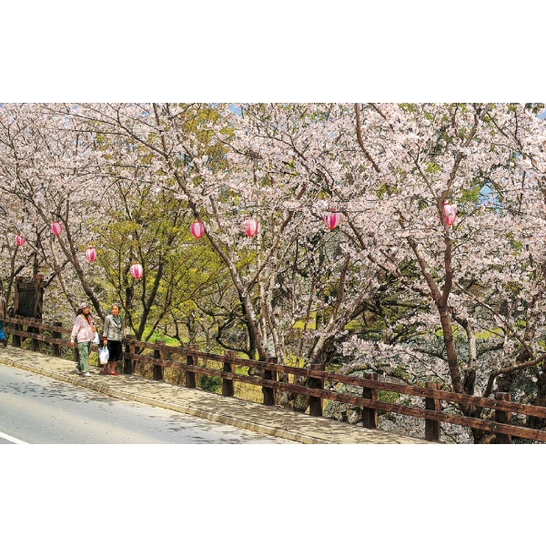 特訂欄杆 特訂欄杆,三榮建材工業股份有限公司