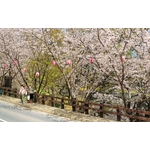 特訂欄杆 - 三榮建材工業股份有限公司