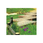 特訂棧道 - 三榮建材工業股份有限公司