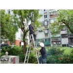 鋸樹割草 - 優加美實業有限公司