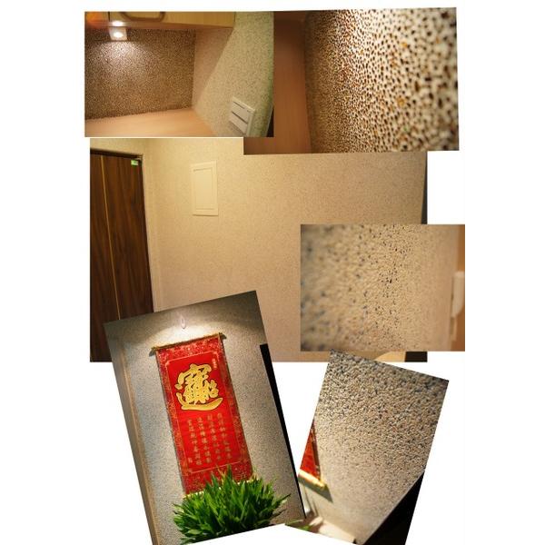 林宅室內牆面抿石工程,大項企業社