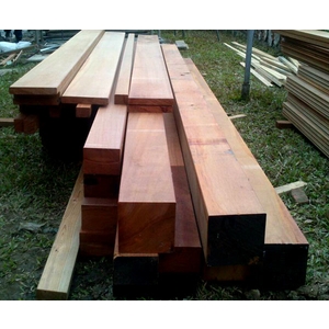 婆羅洲鐵木 , 尼可企業社