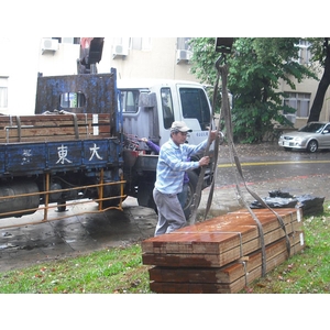 婆羅洲鐵木 , 尼可企業社