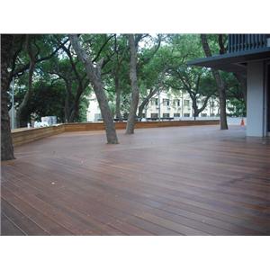 婆羅洲鐵木平台