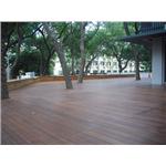 婆羅洲鐵木平台 - 尼可企業社