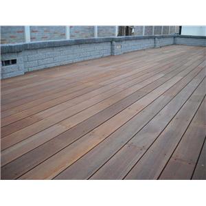 婆羅洲鐵木平台