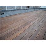 婆羅洲鐵木平台 - 尼可企業社