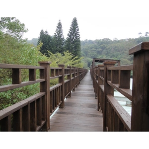 南方松欄杆 棧道