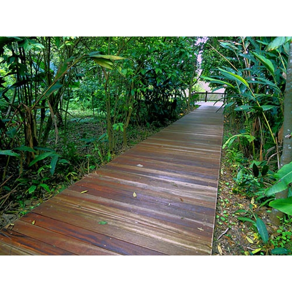 小森林木棧道,尼可企業社