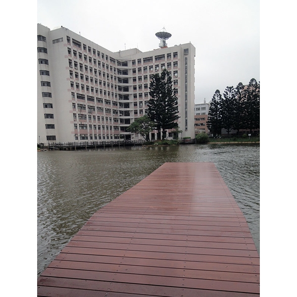 婆羅洲鐵木,尼可企業社