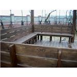 南方松 採光 花架 - 尼可企業社