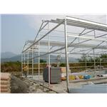 溫室工程 - 綠能溫室工程有限公司