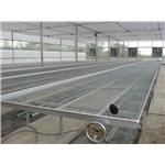 蘭園溫室 - 綠能溫室工程有限公司