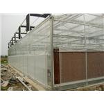 溫室環境規劃 - 綠能溫室工程有限公司