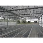 溫室設計施工 - 綠能溫室工程有限公司