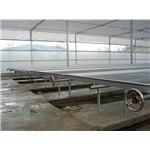 溫室工程 - 綠能溫室工程有限公司