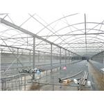 力霸溫室 - 綠能溫室工程有限公司