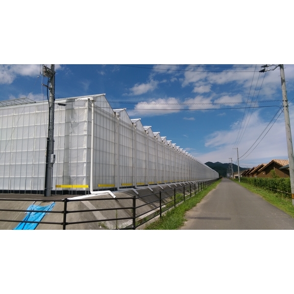 溫室設計,綠能溫室工程有限公司