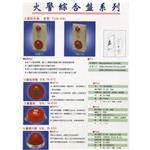 火警綜合盤 , 世勝防災設備工程有限公司