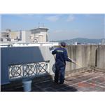 女兒牆防水施作 - 安雅順實業有限公司