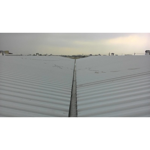 鐵皮屋,育鴻工程行