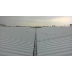 鐵皮屋 - 育鴻工程行