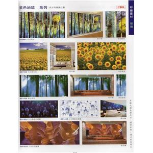 彩繪建材(玻璃) , 長成建材有限公司