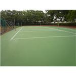 球場全景 - 正永工程有限公司