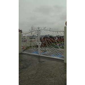 鍛造烤漆大門 , 金世興門窗行