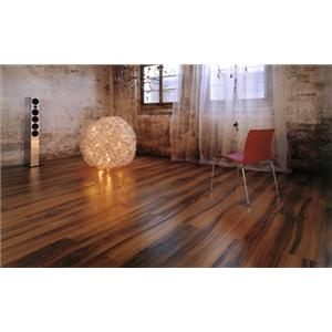 D1245_Studio1,禾仲國際實業有限公司