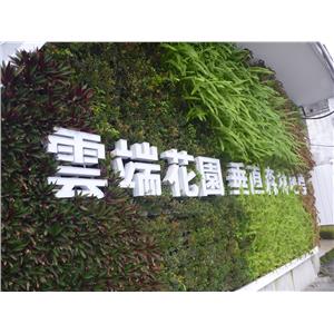 造型綠牆 , 宅良工程有限公司