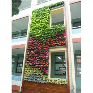 造型綠牆 , 宅良工程有限公司